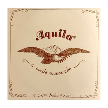 Preview of Aquila 128D120 Type D woundNylgut&reg; multifilament core string