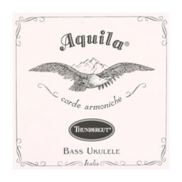 Preview of Aquila 68U Ukulele Bass EADG for uke and Ashbory