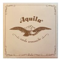 Thumbnail van Aquila Rebec Stringset Genuine Varnished Beef Gut  set 13&quot; scale ( DAE Tuning)
