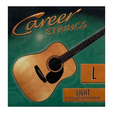 Preview van Career Strings Acoustic L Bronze wound