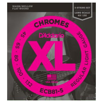 Preview of D&#039;Addario ECB81-5 Chromes Flat Wound