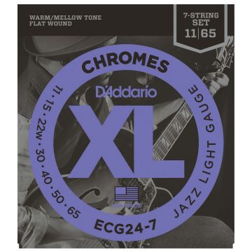 Preview of D&#039;Addario ECG24-7 Chromes Light 7 string