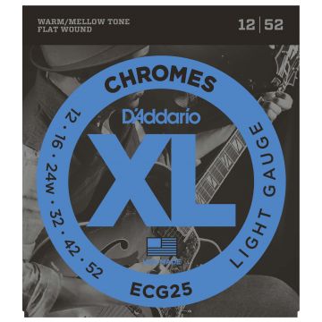 Preview van D&#039;Addario ECG25 Chromes medium light