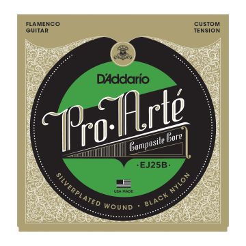 Preview of D'Addario EJ25B Flamenco Composite