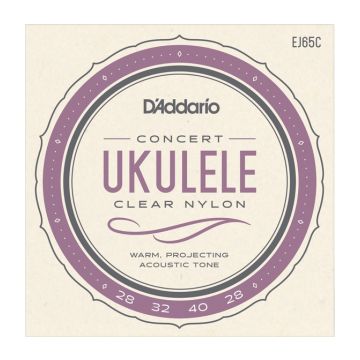 Preview of D&#039;Addario EJ65C Concert Ukulele Clear Nylon