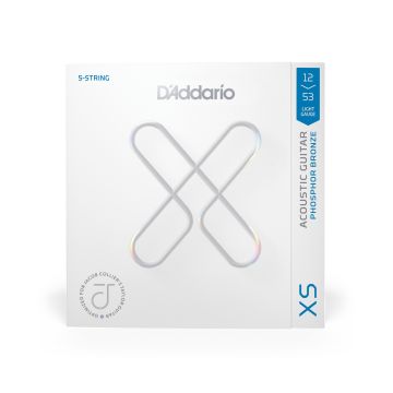 Preview of D'Addario XSAPB1253JC Jacob Collier Taylor 5-String, XS Phosphor Bronze Acoustic 12-53