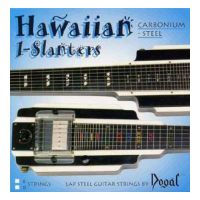 Thumbnail van Dogal WB01 Hawaiian Guitar round wound 013‐ 036c
