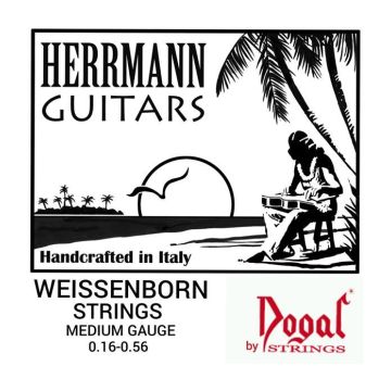 Preview of Dogal WG163A Weissenborn Strings 016/056 Medium