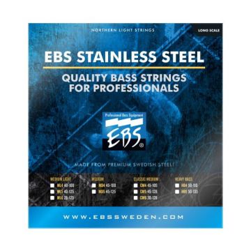 Preview of EBS Sweden SS-ML4 Northern Light Stainless Steel, Medium Light
