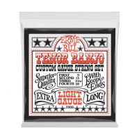 Thumbnail van Ernie Ball 2306 Light Loop End Stainless Steel Tenor Banjo Guitar Strings - 9-28 Gauge