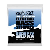 Thumbnail van Ernie Ball 2808 Flatwound Group IV Electric Bass Strings - 40-95 Gauge