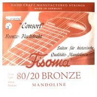 Thumbnail of Fisoma F3022C Consort 80/20 single pair of A strings for mandoline.