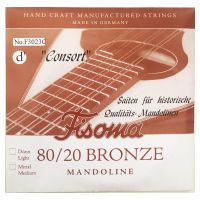 Thumbnail of Fisoma F3023C Consort 80/20 single pair of D strings for mandoline.