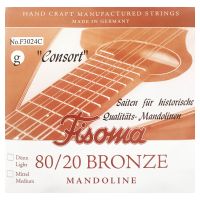 Thumbnail of Fisoma F3024C Consort 80/20 single pair of G strings for mandoline.
