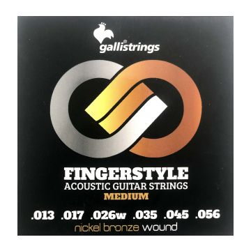 Preview van Galli GFS-1356 Fingerstyle Nickel bronze acoustic