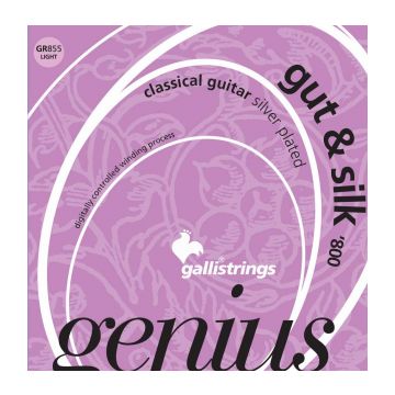 Preview of Galli GR855 Genius Gut and Silk Light Tension