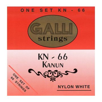 Preview of Galli KN66 Qanun 66 STRINGS NYLON