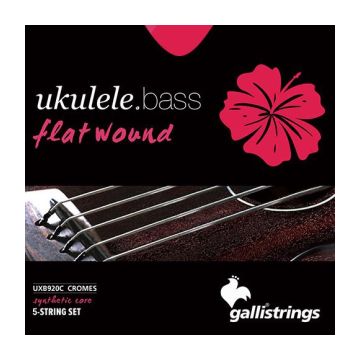 Preview of Galli UXB920C CHROME FLATWOUND - 5 STRINGS SET