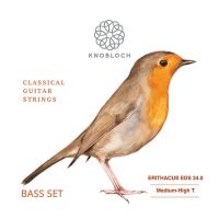 Thumbnail of Knobloch EDS 34.0 ERITHACUS BASS-pack Medium-High tension Double Silver (Basses only)