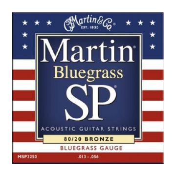 Preview of Martin MSP3250 Bluegrass Acoustic SP