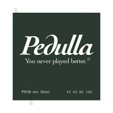 Preview van Pedulla PS4B Hex core Stainless Medium 45-100