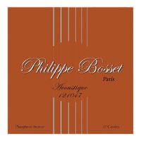 Thumbnail van Philippe Bosset ACP121047 Phosphor bronze twelve string 10-47
