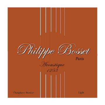 Preview van Philippe Bosset ACP1253 Phosphor bronze Light 12-53