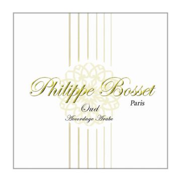 Preview of Philippe Bosset OUD2843 Arabic tuning