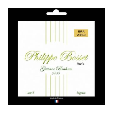 Preview of Philippe Bosset PBBRA2453 8 strings Brahms guitar set clear nylon Low B
