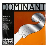 Thumbnail van Thomastik 133-34 Violin G-4 3/4 Perlon, silversteel