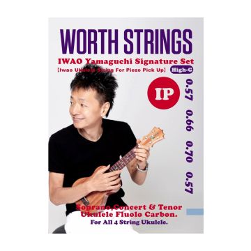 Preview van Worth IP  Iwao Yamaguchi signature set High G ( for piezo pickup)