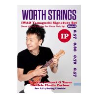 Thumbnail van Worth IP  Iwao Yamaguchi signature set High G ( for piezo pickup)