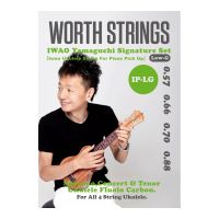 Thumbnail van Worth IP-LG  Iwao Yamaguchi signature set Low G ( for piezo pickup)