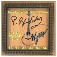 Thumbnail van Wyres CP1356B Phosphor bronze DADGAD acoustic, Pierre Bensusan signature